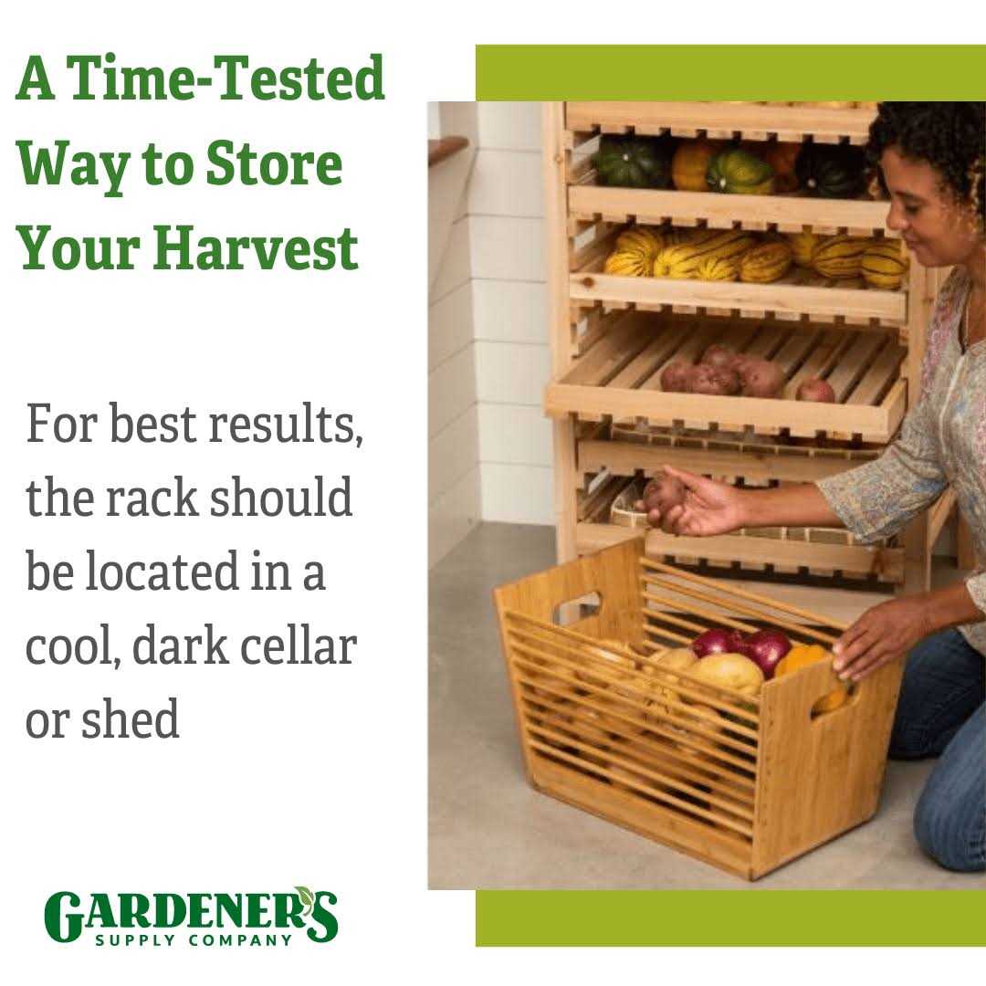 Orchard Rack 9 Drawer - Image 4