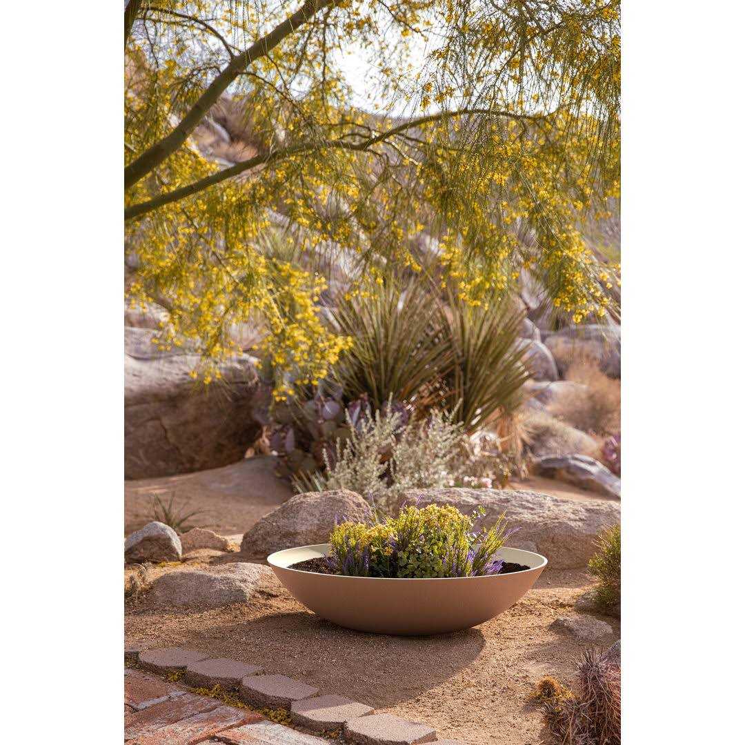 Pure Series Lane Bowl Planter Mercury Row Set Of Set