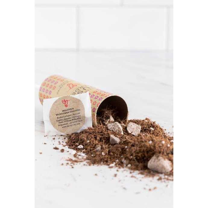 Afloral Pack of 3 – Pollinator Push Garden - Image 2