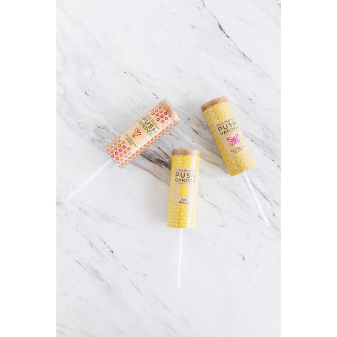 Afloral Pack of 3 – Pollinator Push Garden - Image 3