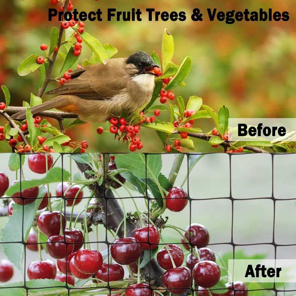 POYEE garden Netting Heavy Duty garden Net Vegetables and Fruit Trees - Image 2
