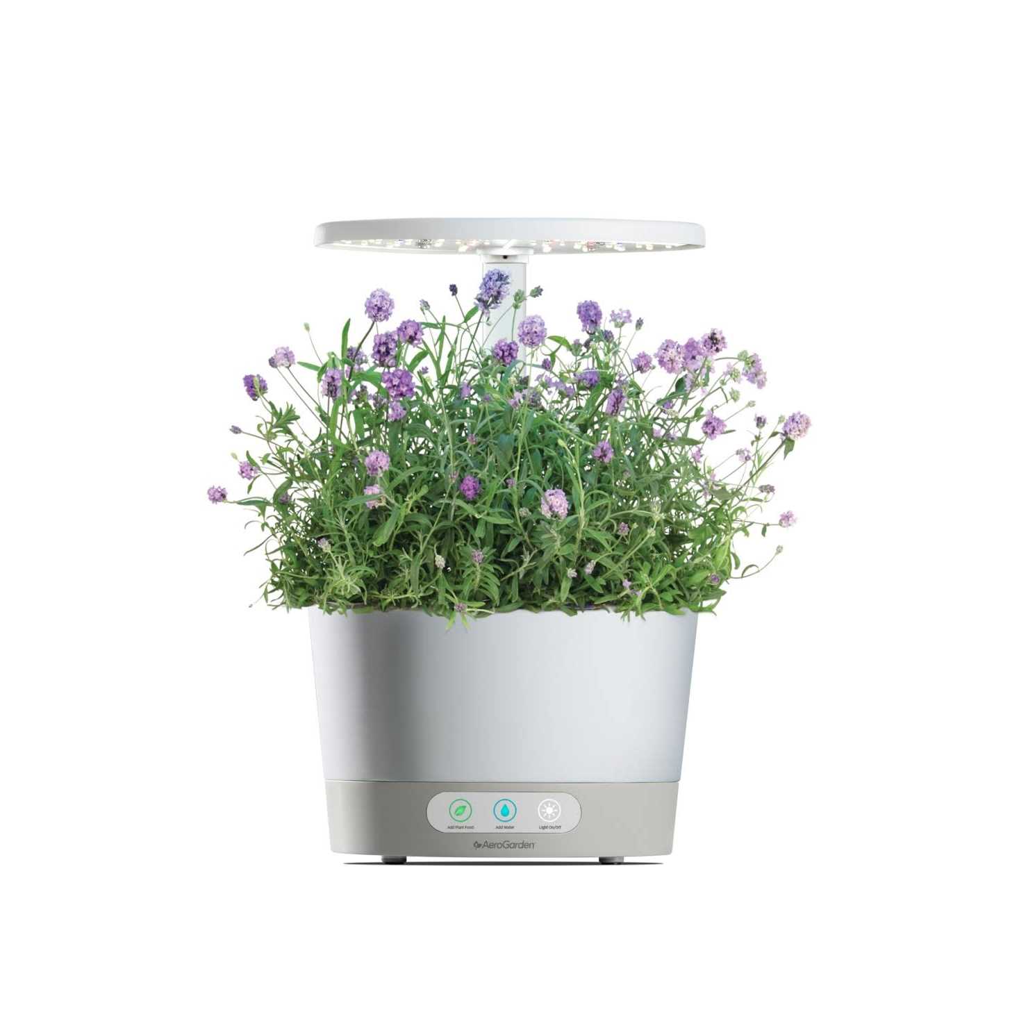 Aerogarden Lots of Lavender Seed Pod Kit - Image 4
