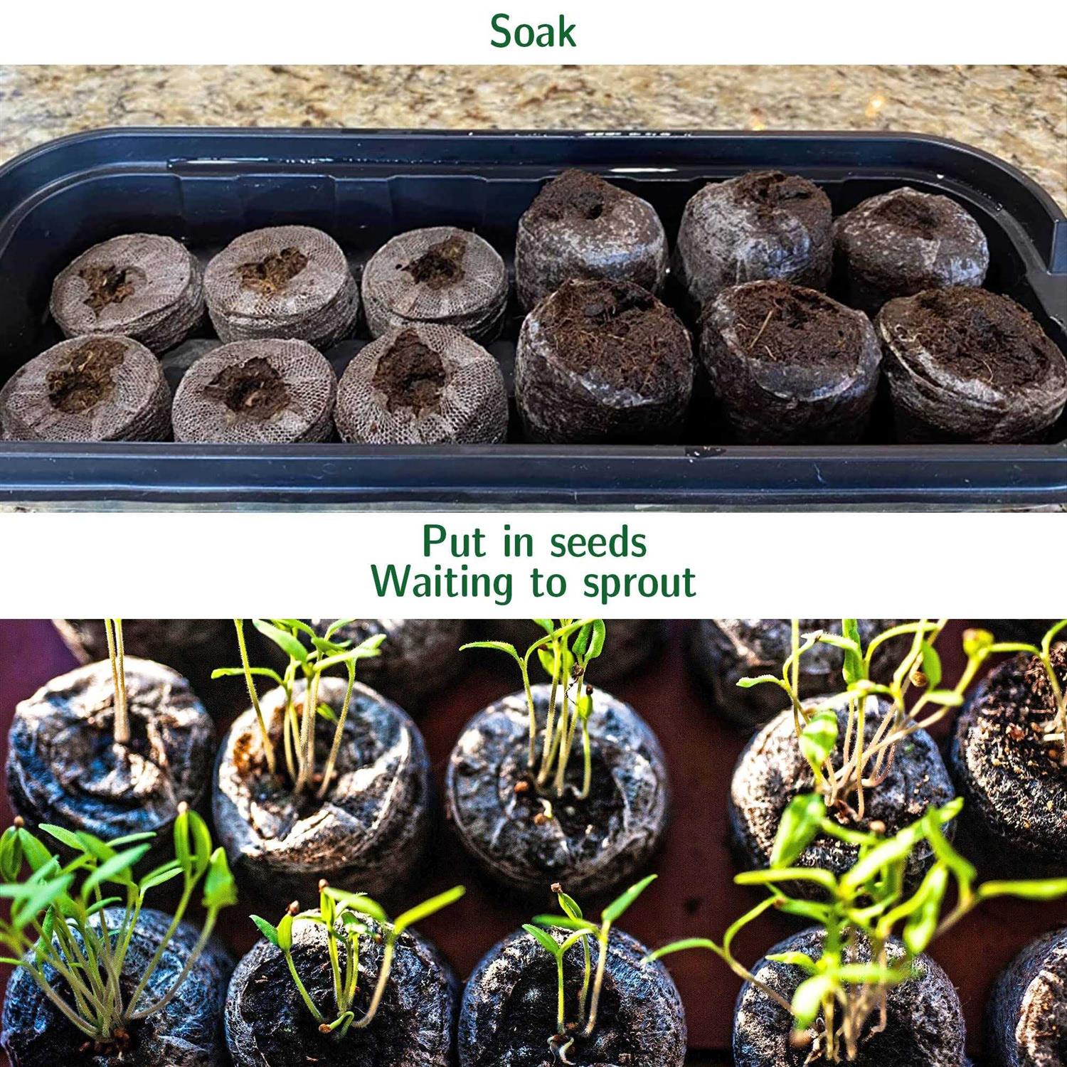 100 Pcs peat pellets Plant Starter,30MM Plant Starting Plugs,Fiber Soil Direct Plant Seeding Starters peat pellets for seedlings - Image 4