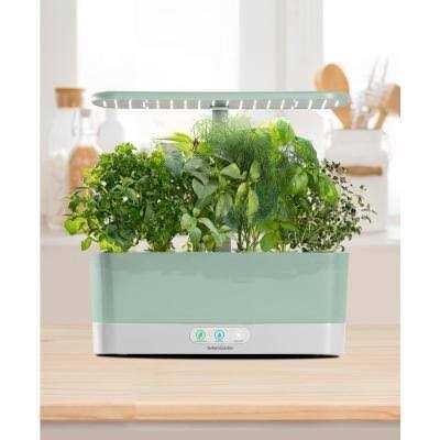 AeroGarden Harvest Slim Seed Starting System Bundle - Image 4