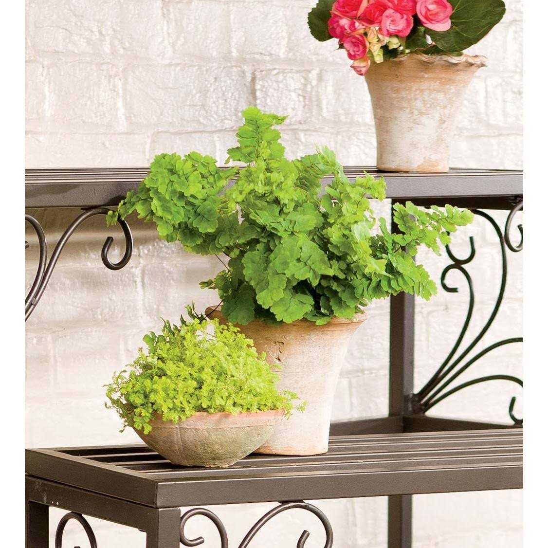 Plow & Hearth Set of 3 Nesting Metal Plant Stands with Scrollwork Design - Image 4