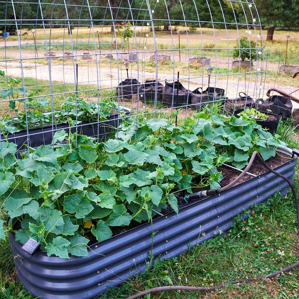 17&” Tall 8’x2′ Metal Modular Raised Garden Bed Kit - Image 4