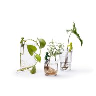 PELEG DESIGN Leafriend Plant Propagation Buddy Plant Support for Sprouts, Stems, Shoots, and Cuttings