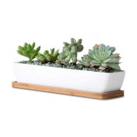 11inch Long Rectangle White Ceramic Succulent Planter Pots/Mini Flower Plant Containers with Bamboo Saucers. Product Size:11×2.36×1.77inch,not