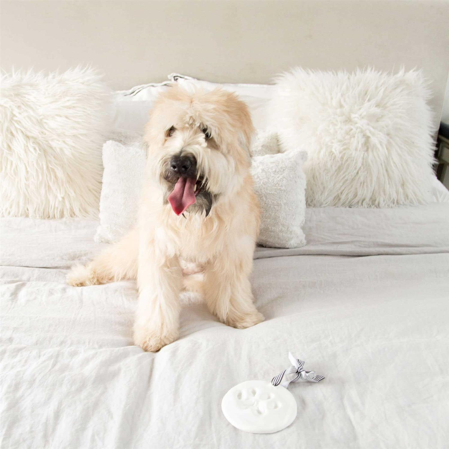 Pearhead Pawprints Keepsake - Image 3