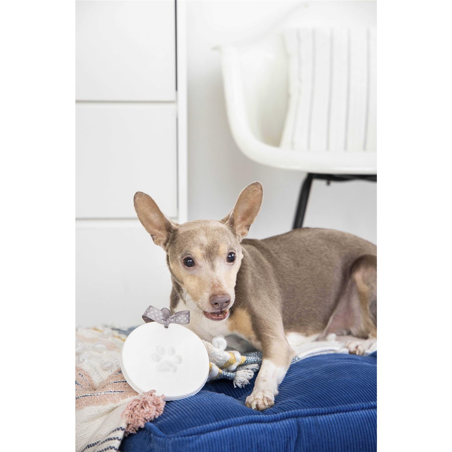 Pearhead Pawprints Keepsake - Image 5