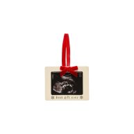 Pearhead Holiday Sonogram Ornament