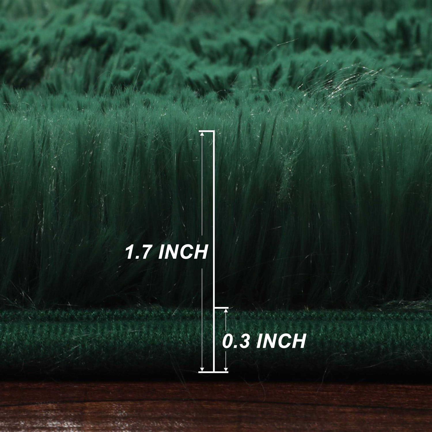 Pagisofe Fluffy Shag Area Rugs for Bedroom Soft Fuzzy Shaggy Rugs for Living Room Carpet Nursery Girls Dorm Room Rug - Image 2