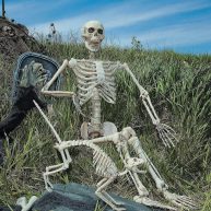 5 Ft Life-Size Posable Skeleton Halloween Decoration