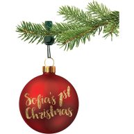 Ornament ANCHOR Ornament Hooks for Hanging Christmas Decorations No-Slip Hanging Hooks for Xmas