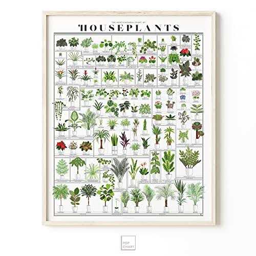 Pop Chart Horticultural Chart of Houseplants 16 x 20 Wall Art - Image 3