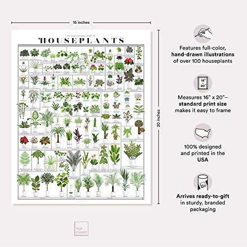 Pop Chart Horticultural Chart of Houseplants 16 x 20 Wall Art - Image 4