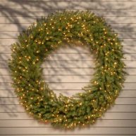 Norwood Fir Lighted PE Wreath