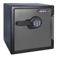Sentry Safe Fire-Safe with Digital Keypad Access