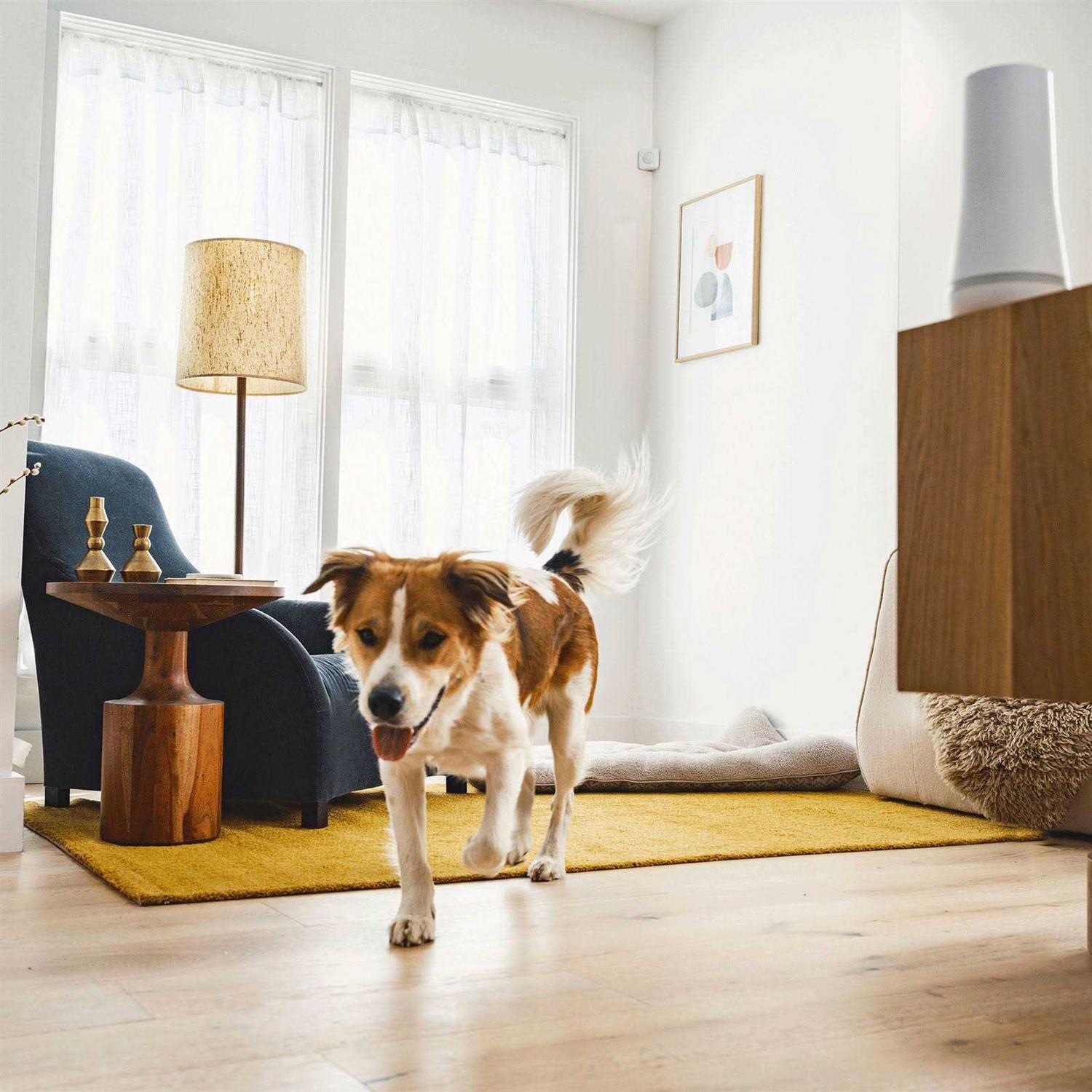 SimpliSafe Motion Sensor - Image 2