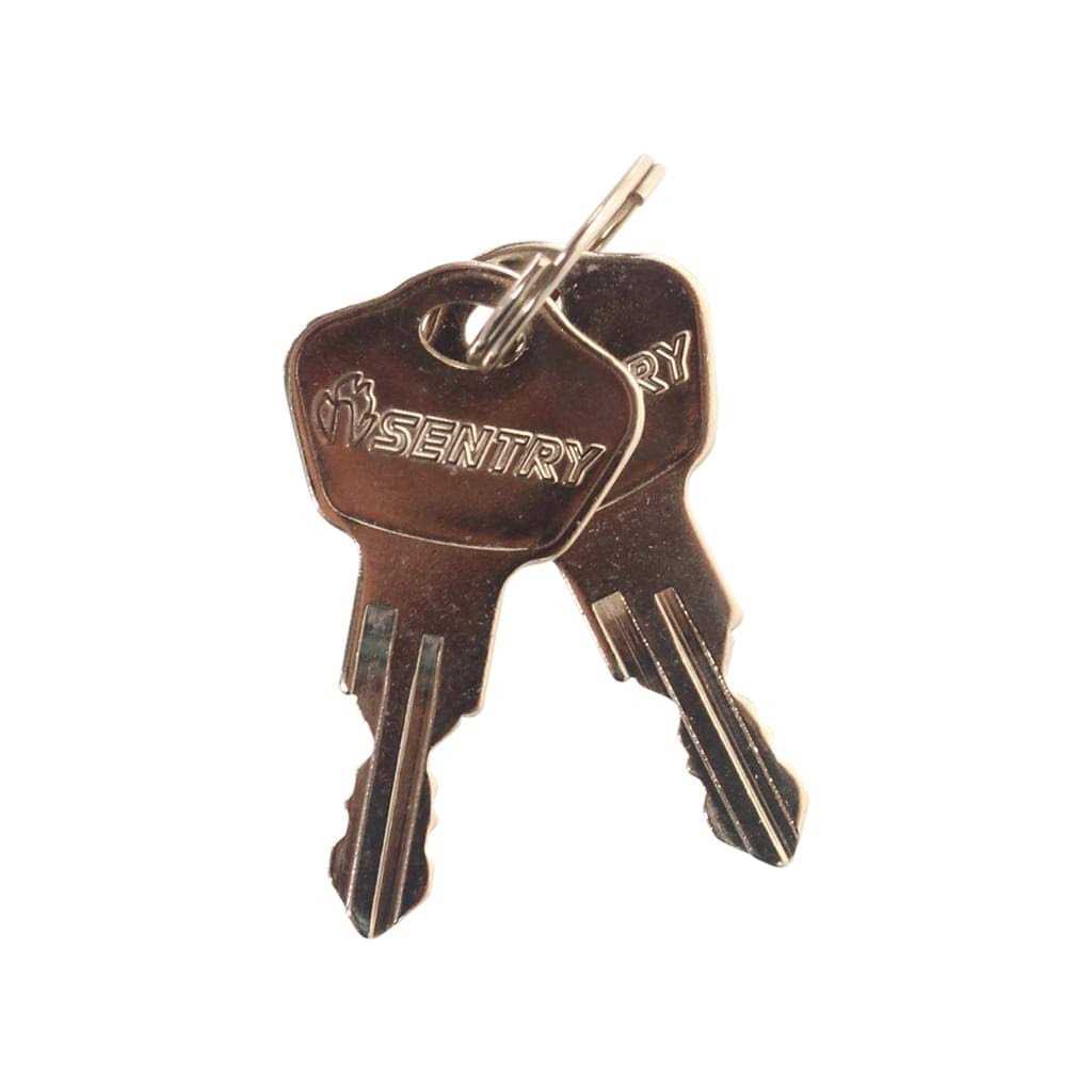 SentrySafe Fireproof Money Safe with Key Lock Ex 14. 3 in. W x 11. 2 in. D x 6. 1 - Image 2