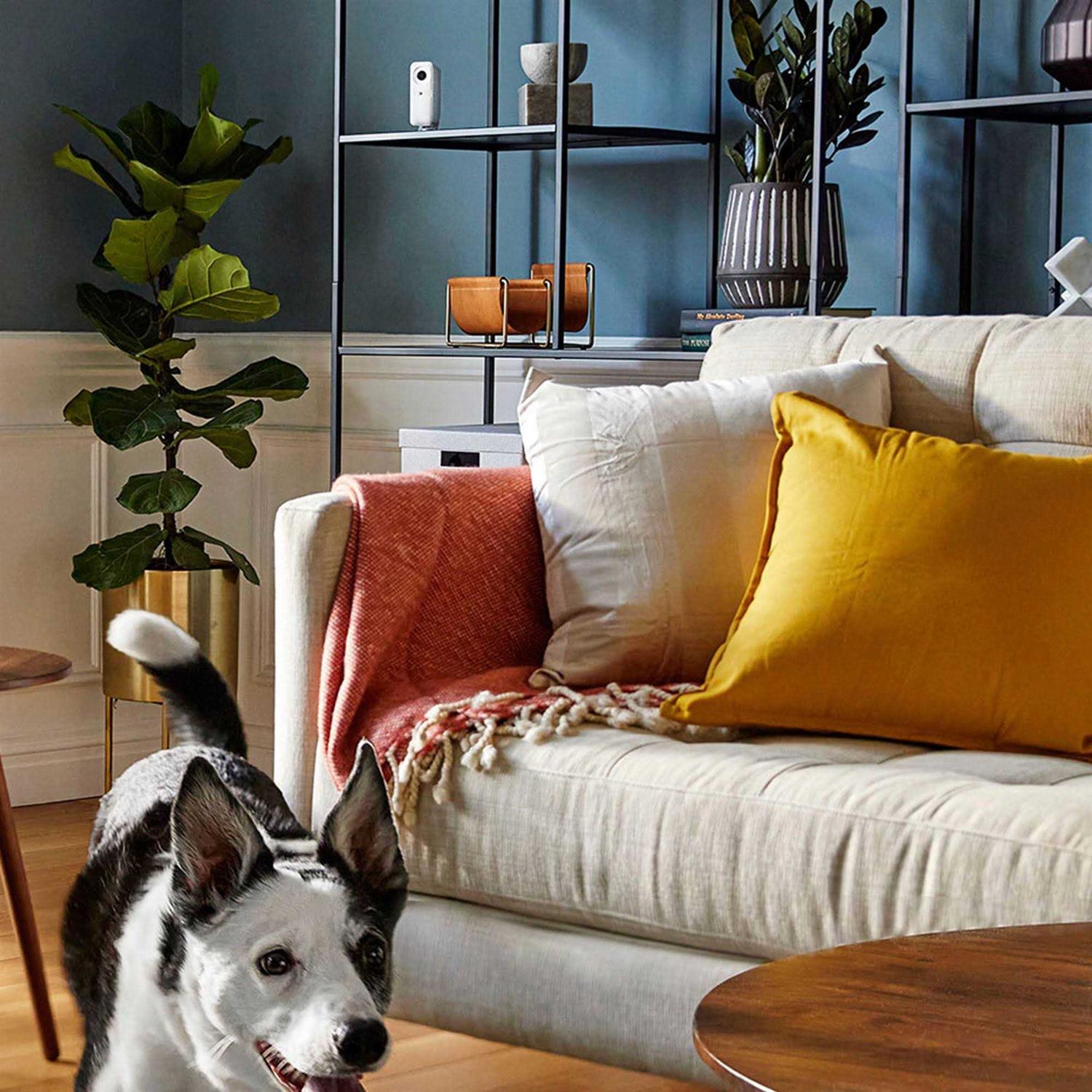 SimpliSafe Indoor Home Security System with Smart Alarm Wireless Indoor Camera 8-piece - Image 5