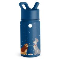 Simple Modern Summit Vacuum Insulated Stainless Steel Water Bottle Straw Lid