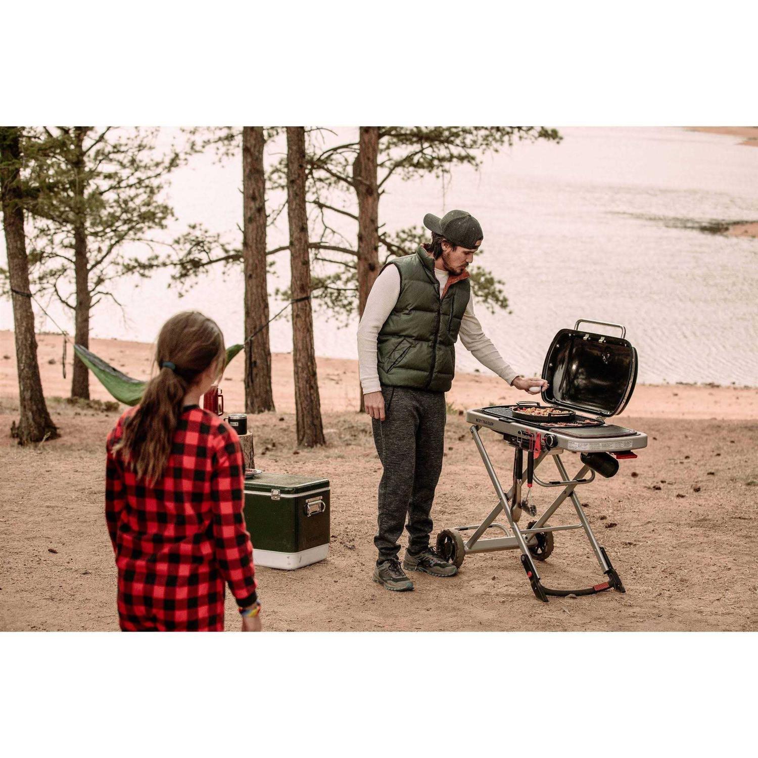 Weber Traveler - Image 3