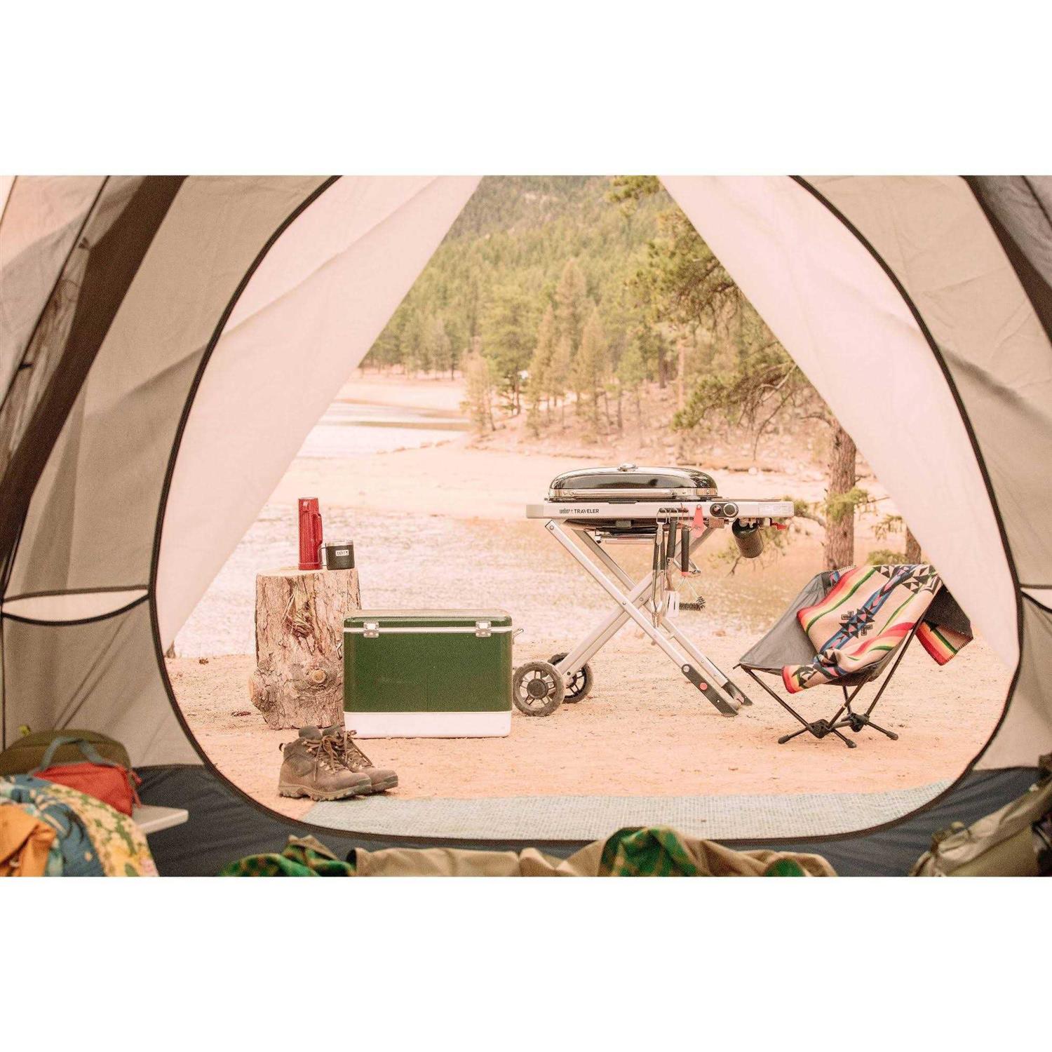 Weber Traveler - Image 4