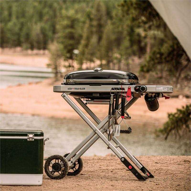 Weber Traveler - Image 5