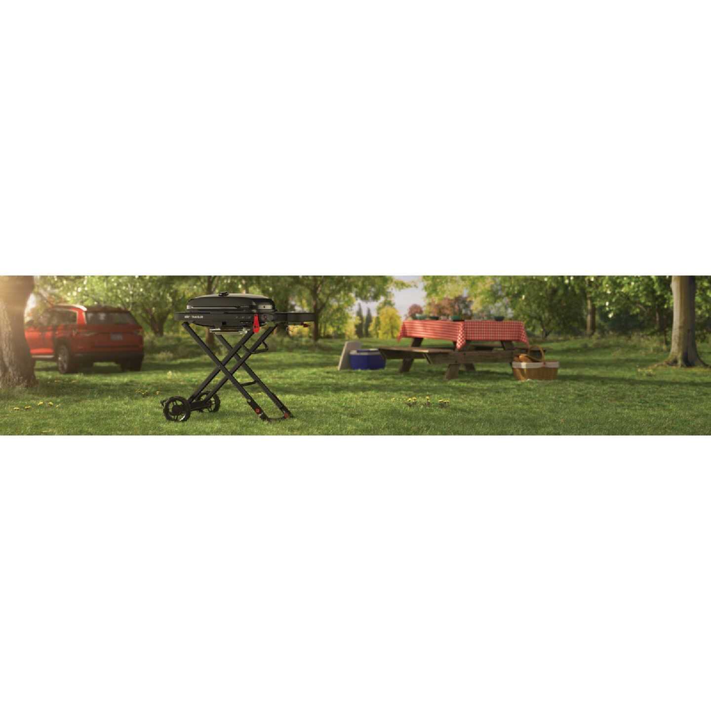 Weber Traveler - Image 4