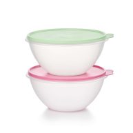 Tupperware Heritage Wonderlier Food Storage Bowl Set Vintage Colors