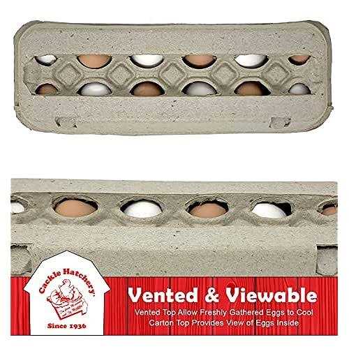 Vented Paper Pulp Egg Cartons - Image 2