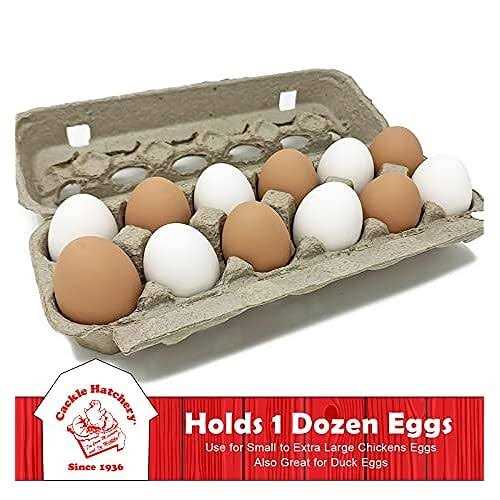 Vented Paper Pulp Egg Cartons - Image 3