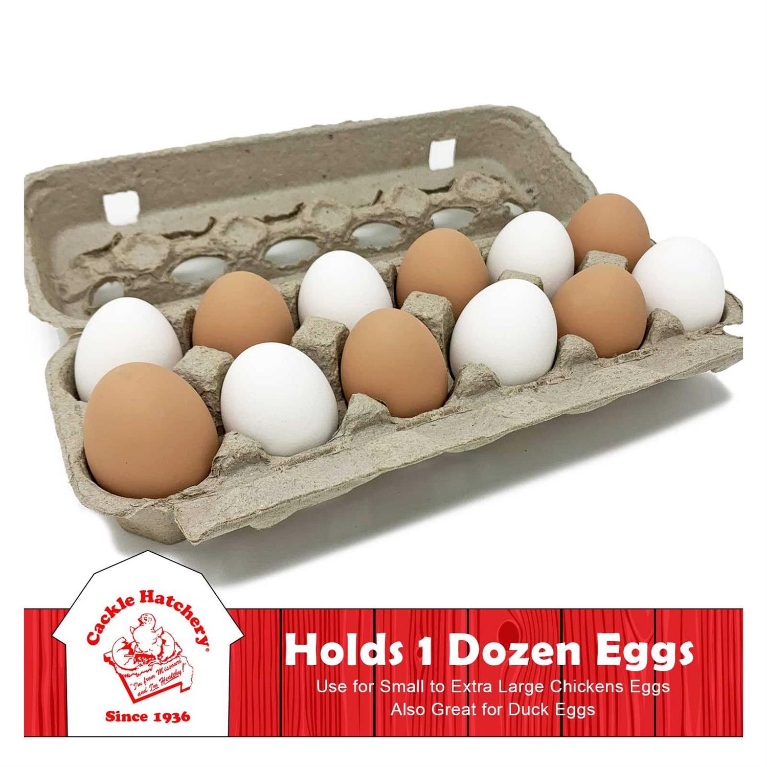 Vented Paper Pulp Egg Cartons - Image 2