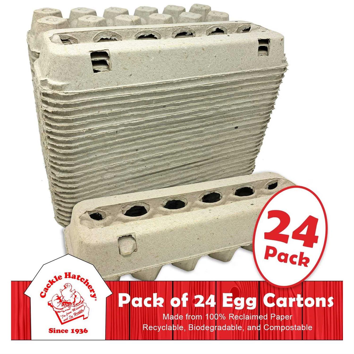 Vented Paper Pulp Egg Cartons - Image 4