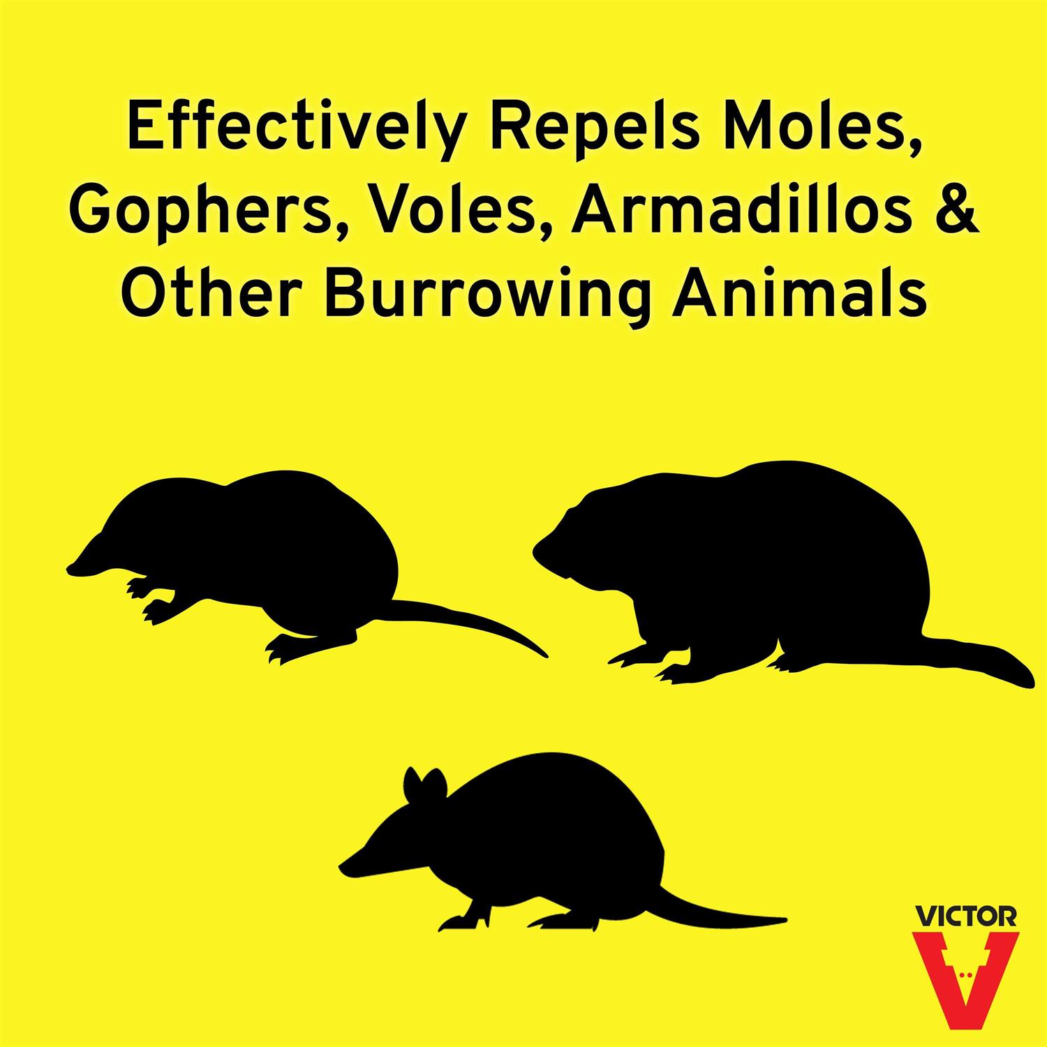 Victor Mole & Gopher Repellent - Image 3
