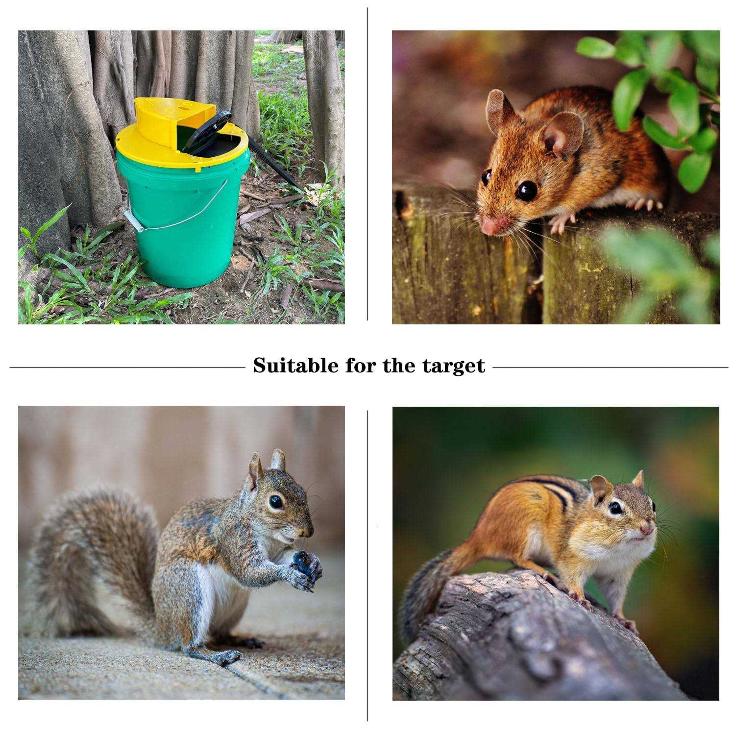 Upgraded 5 Gallon Bucket lid,Bucket lid Trap Door Style,Indoor Outdoor - Image 3