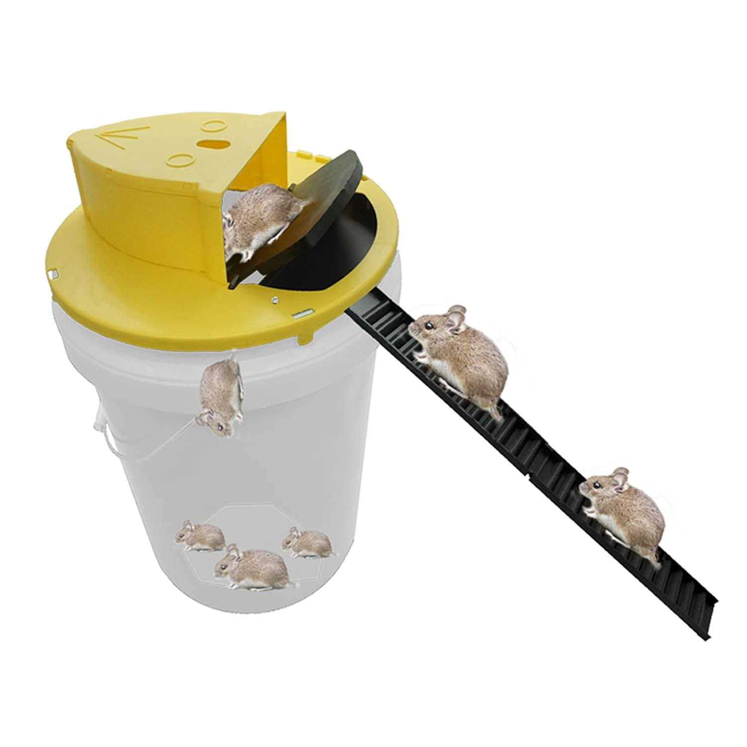 Upgraded 5 Gallon Bucket lid,Bucket lid Trap Door Style,Indoor Outdoor - Image 4