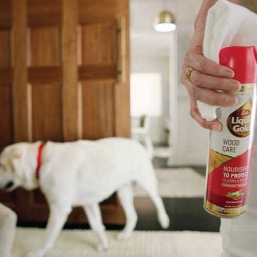 Scott’s Liquid Gold Wood Cleaner & Preservative - Image 2