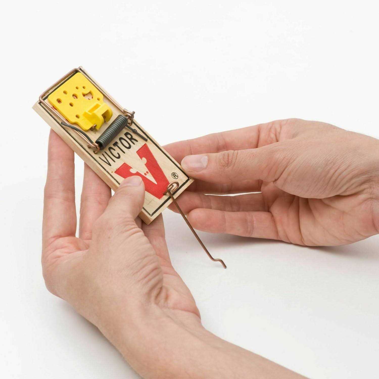 Victor Easy Set Mouse Trap - Image 3