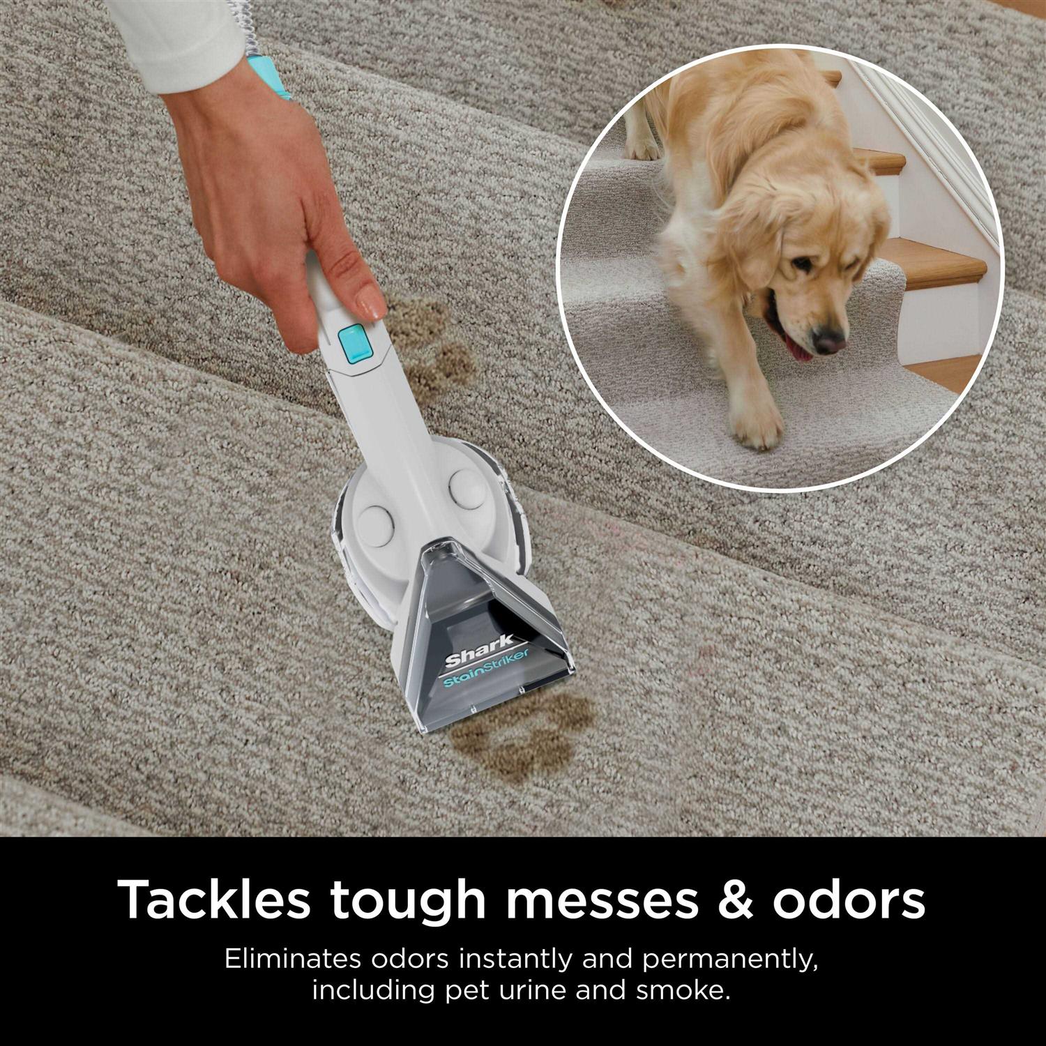 Shark CarpetXpert Deep Clean Pro Formula - Image 3