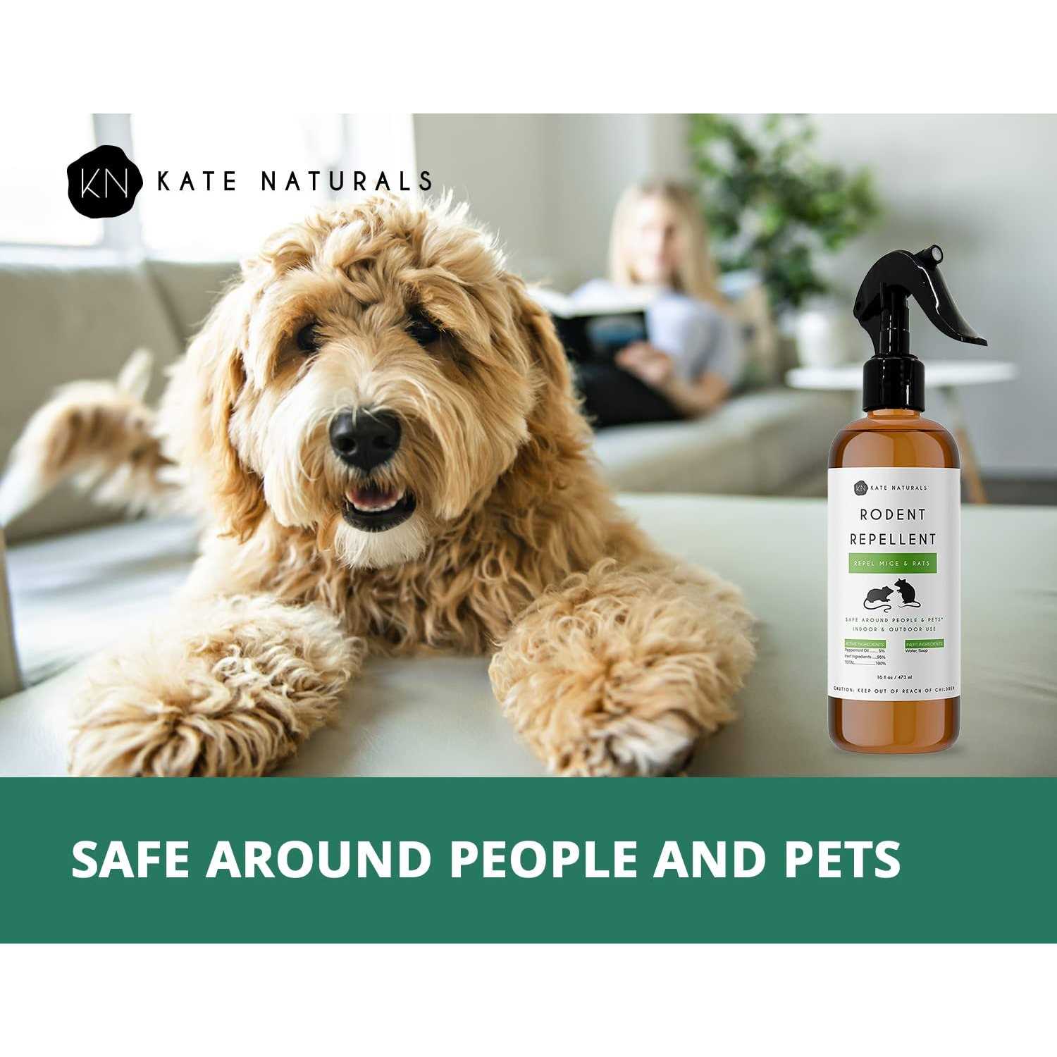 Rodent Repellent Spray with Peppermint Oil by Kate Naturals. Formulated with Peppermint Oil to Repel Mice and Rats. Non-Toxic Peppermint Spray - Image 3