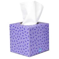 Who Gives A Crap Forest Friendly Tissues 12 Boxes