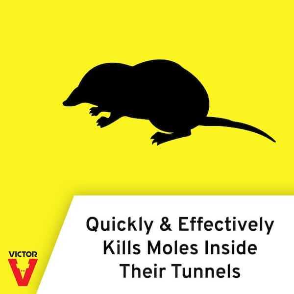 Victor Mole Trap Plunger - Image 4