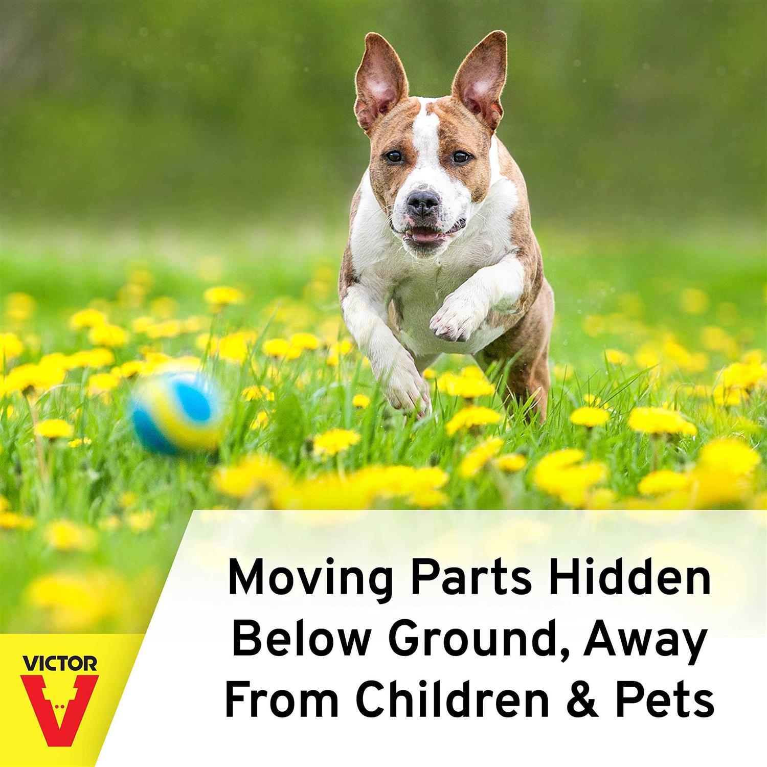 Victor Mole Trap Plunger - Image 5