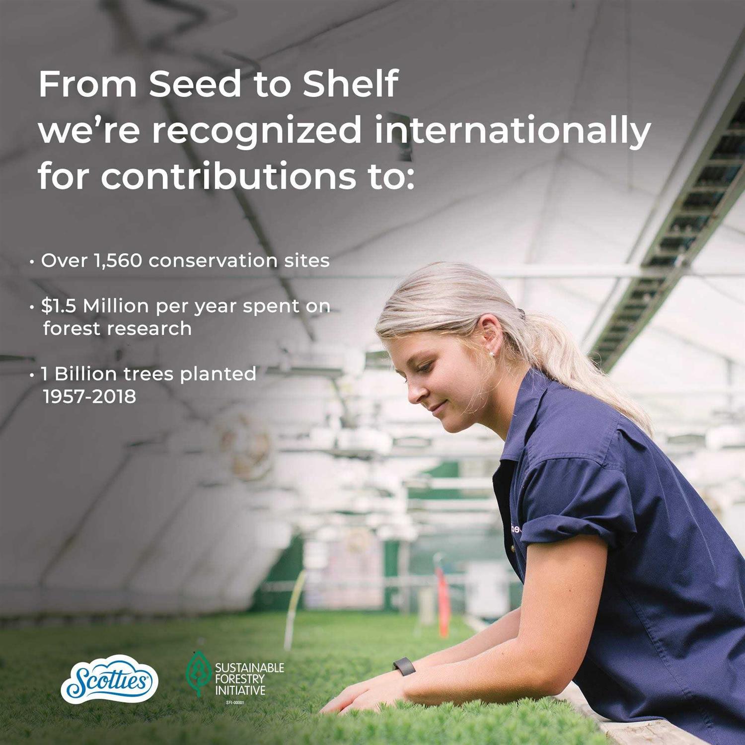 Scotties Everyday Comfort Facial Tissue - Image 5