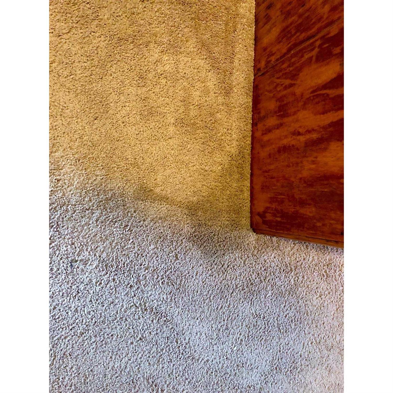 Woolite INSTAclean Stain Remover - Image 2