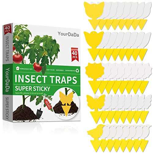 Shapes Yellow Sticky Traps for Fruit Fly, Whitefly, Fungus Gnat, Mosquito and Fly