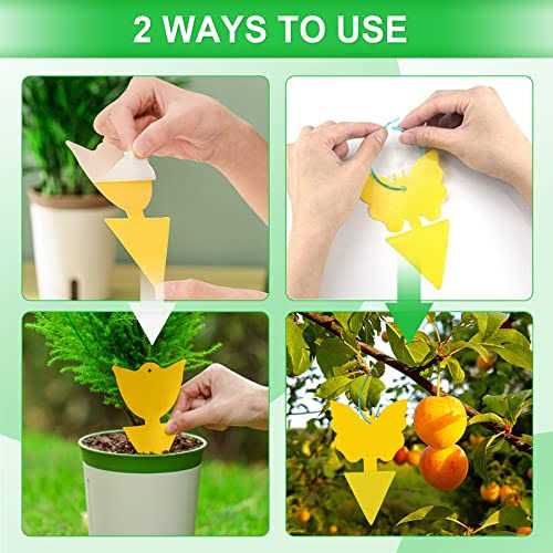 Shapes Yellow Sticky Traps for Fruit Fly, Whitefly, Fungus Gnat, Mosquito and Fly - Image 3