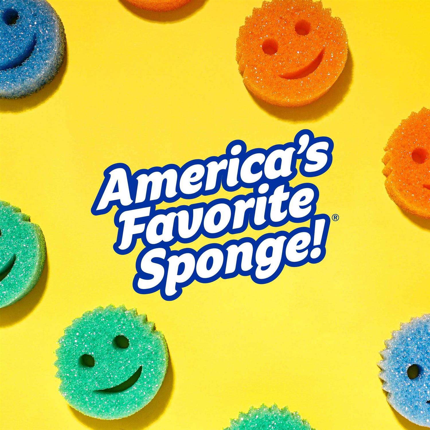 Scrub Daddy Sponge Summer Shapes Non - Image 3